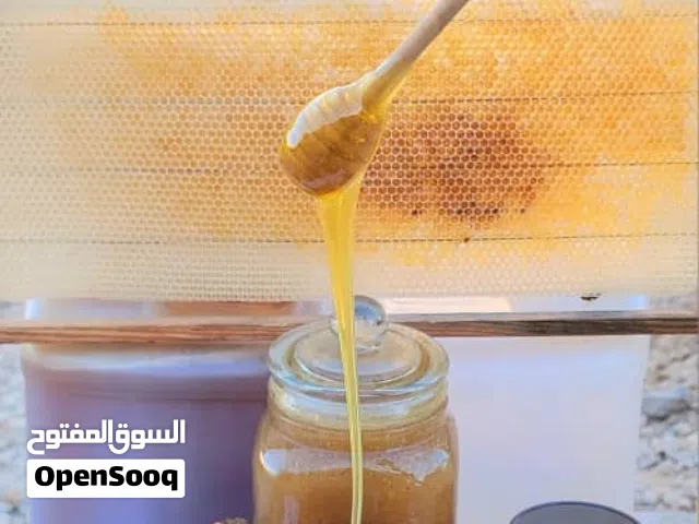 عسل سدر من مناحلنا إليكم مباشره  رقم واحد على الشرط والفحص  جديد انتاج هذا الموسم