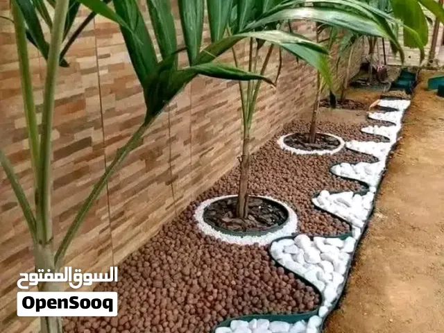 خبير فى تزيين المساحات الخضراء