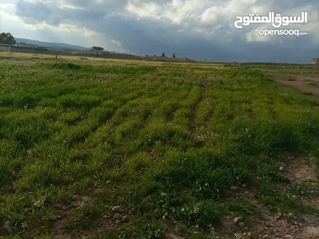 قطعتين أرض زراعية للبيع اوللظمان بلعما حوض الخربه السمرا قريبه من طريق جابر