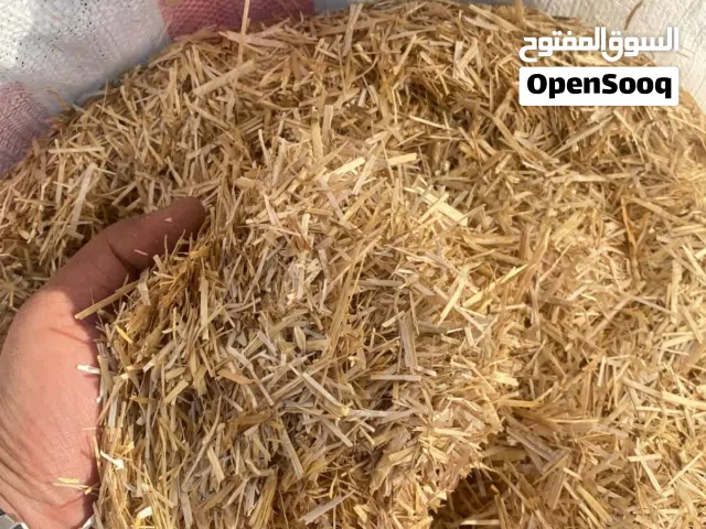 تبن سعف النخل