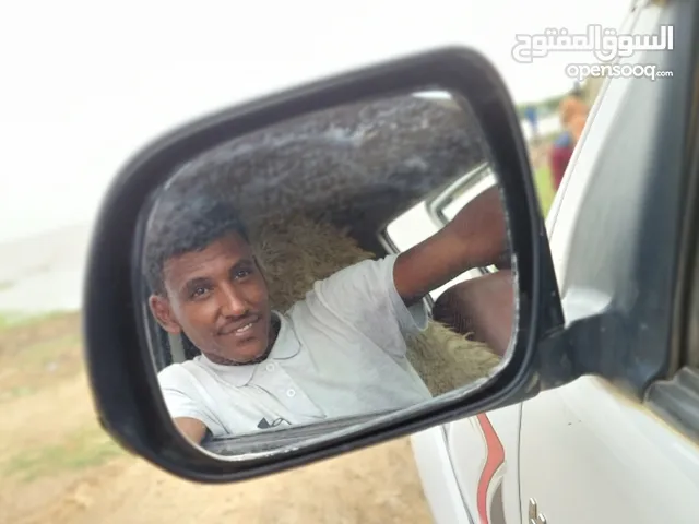 احمد يوسف محمد علي كباشي