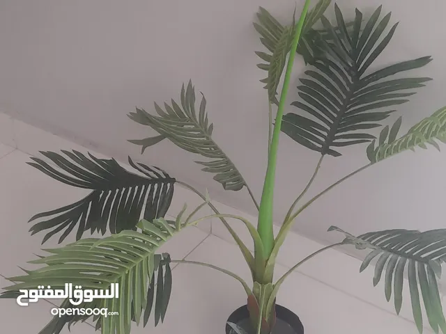 مزهريه شجر اصطناعي