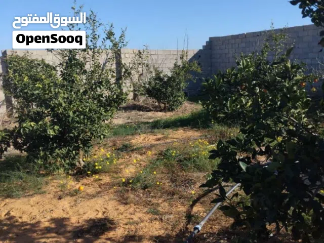 Mixed Use Land for Sale in Tripoli Wadi Al-Rabi