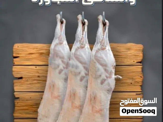 قصاب وجزار مصري لزبح الاضاحي