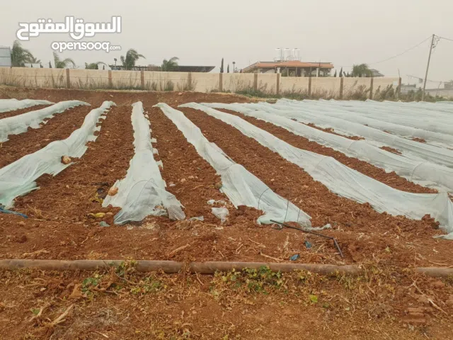 Mixed Use Land for Sale in Nablus Al Nassariya