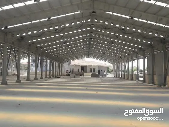 هنقر للايجار سقف سندوتش في البيفي قرب شارع القرطاسية