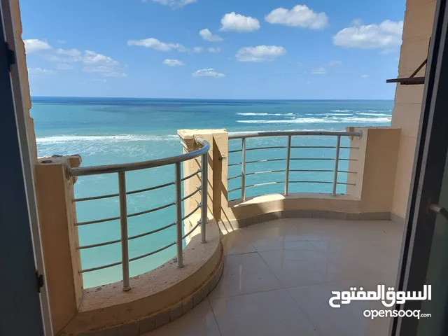250m2 3 Bedrooms Apartments for Rent in Alexandria Mandara