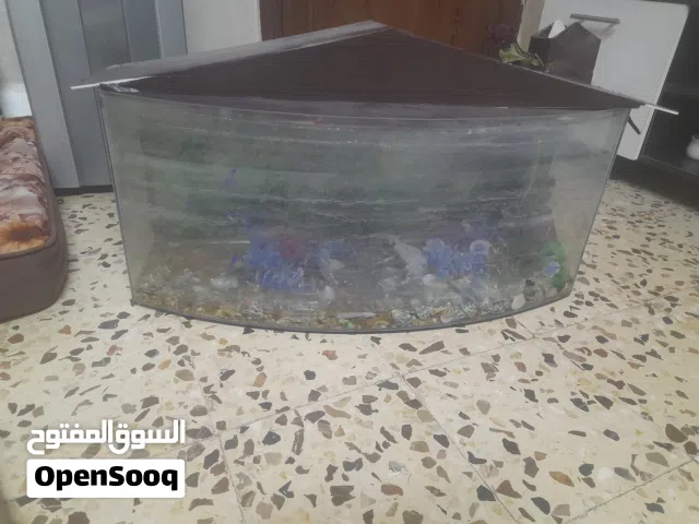 حوض سمك للبيع