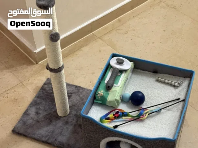 Like new cat accessories