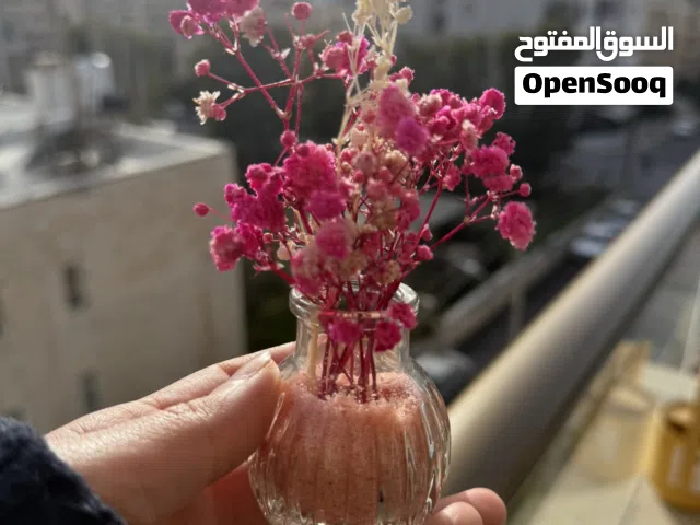 مزهرية حجم اكسترا ميني