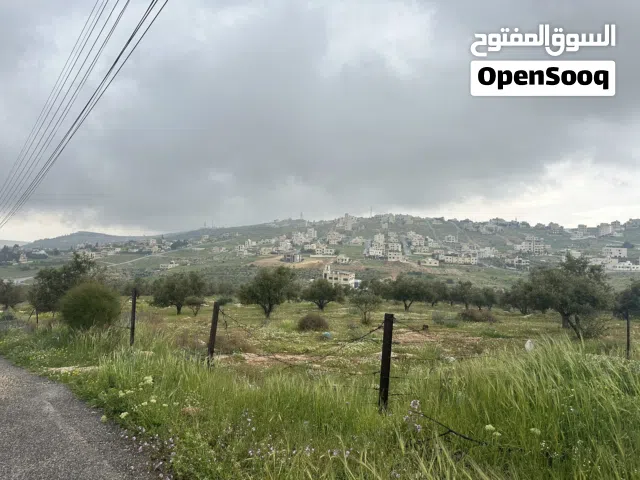 Residential Land for Sale in Amman Shafa Badran