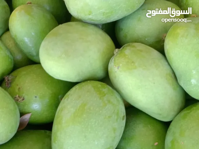 حدال امبا حامض للبيع