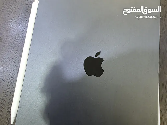 ipad m4 11 inch