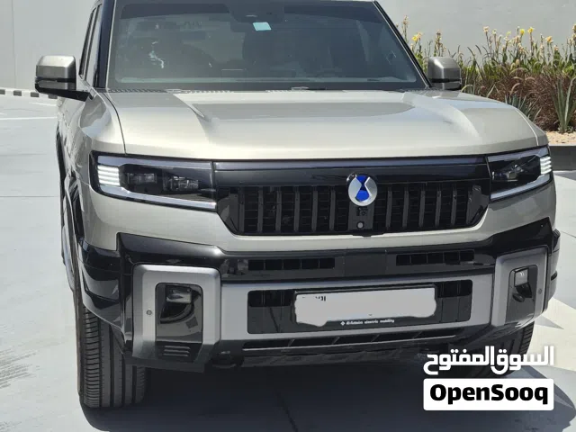 2027 بي واي دي اخرى