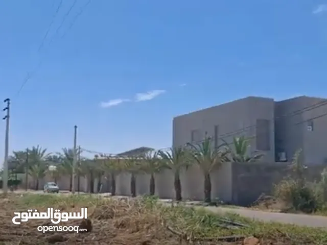 أرض استثمارية للبيع لقطة 985 م مناسبة لشاليه الغور غور شميساني للبيع المستعجل