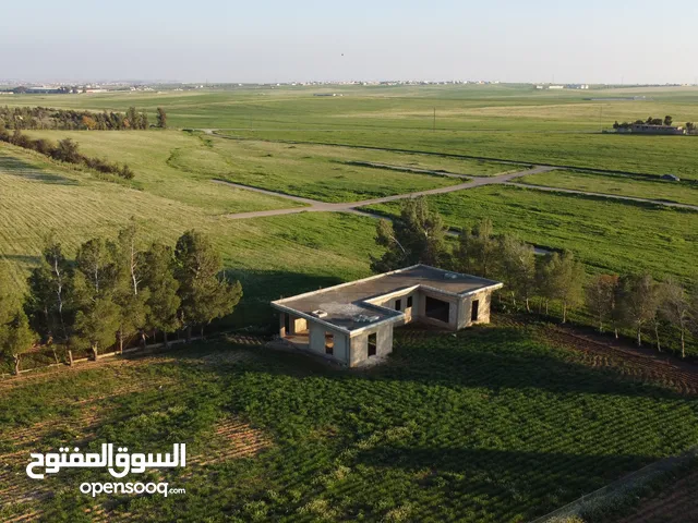 Farm Land for Sale in Amman Jelul