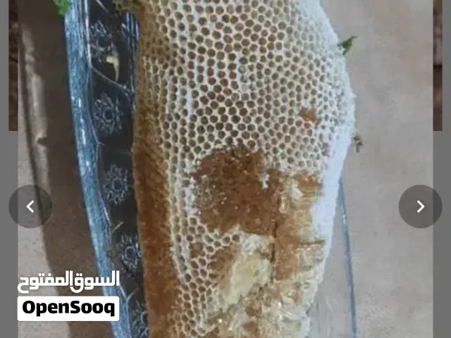 عسل اصلي بري