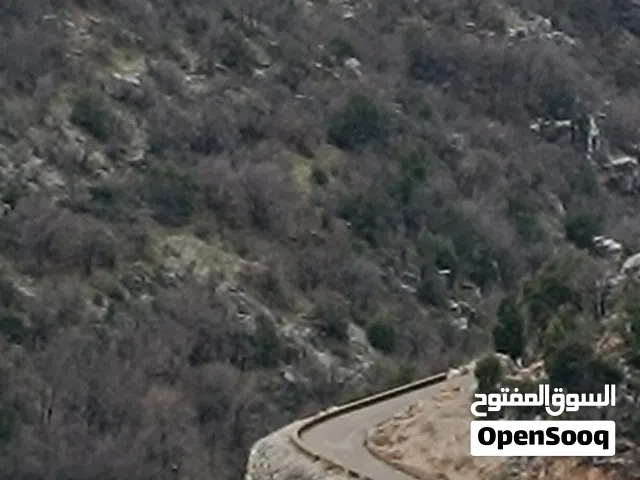 غرفة و صالة