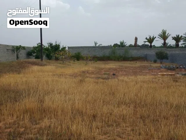 Residential Land for Sale in Tripoli Gasr Garabulli