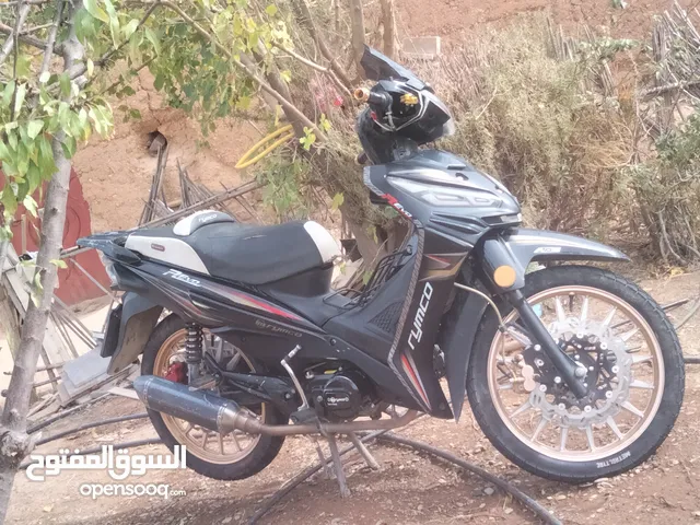 remco revo model 2022 110 cc