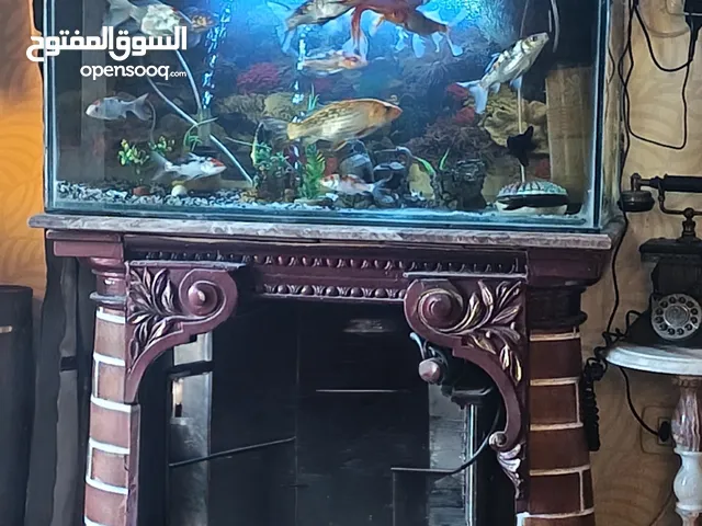 حوض اسماك زينة كامل شامل بالقاعدة والمكتبة والأسماك