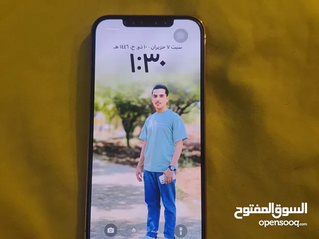Apple iPhone 12 Pro Max 256 GB in Irbid