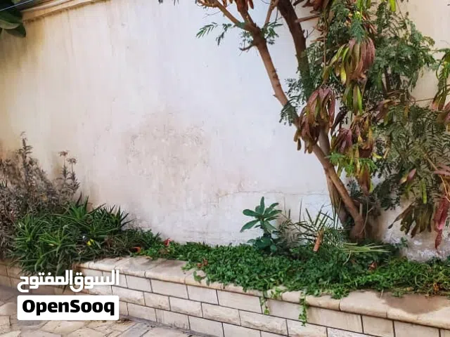 500 m2 More than 6 bedrooms Villa for Rent in Sana'a Al Wahdah District