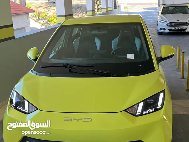 Used BYD Seagull in Amman