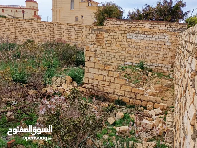 Residential Land for Sale in Alexandria Asafra