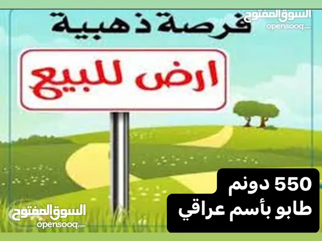Farm Land for Sale in Basra Shatt Al-Arab