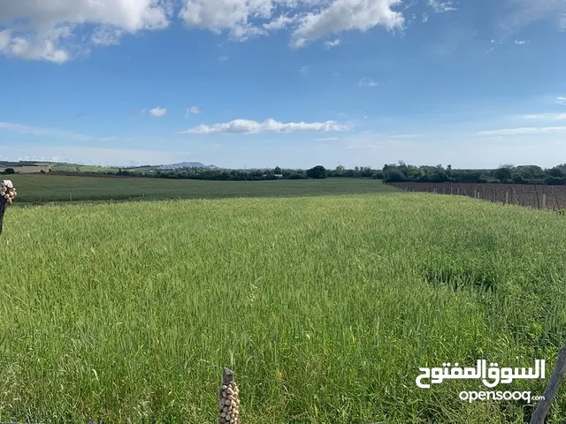 Farm Land for Sale in Tétouan Route de Ceuta