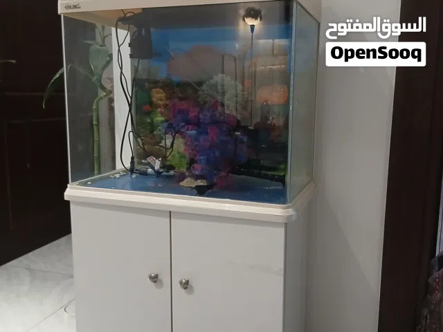 للبيع حوض سمك