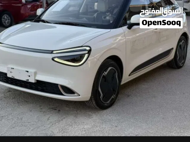 2023 دونج فينج نامي بوكس