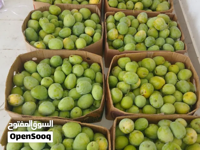 حدال لبيع  بل حجز