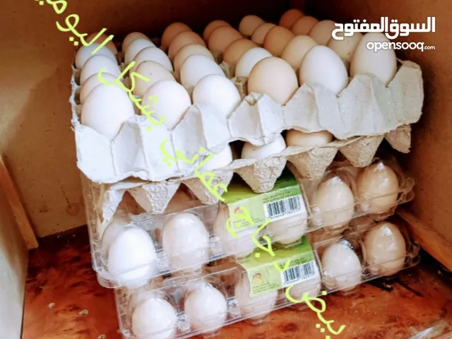 البيض عماني