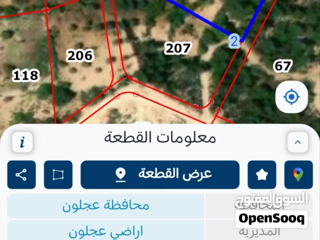 Farm Land for Sale in Ajloun A'anjara