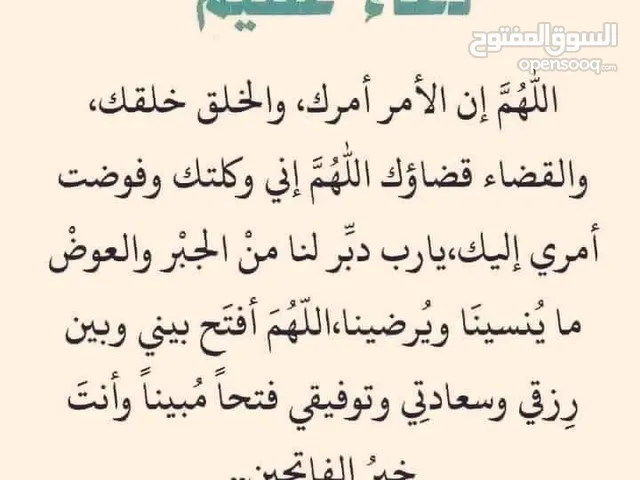 مطلوب معزا للشراء الفوري مواليد أو عشار أو حليب