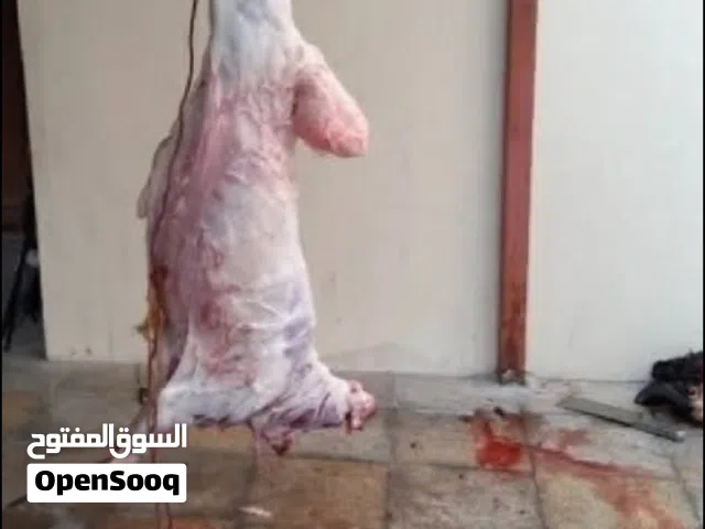 جزار مصري صعيدى خبره بالخليج 25سنه بدولة قطر