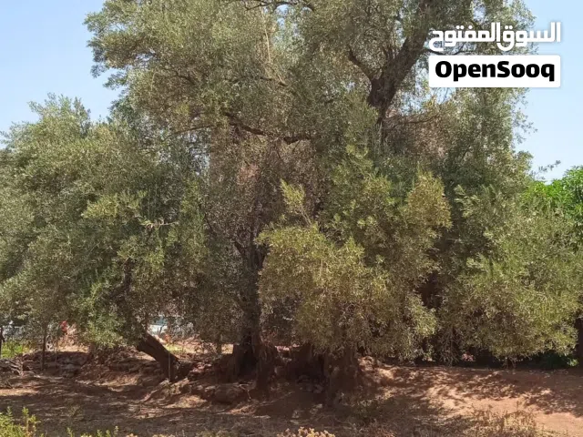 Residential Land for Sale in Khénifra Other