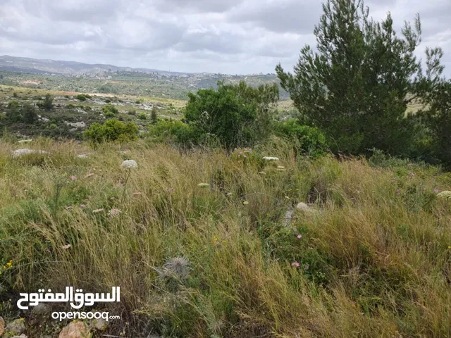 Residential Land for Sale in Ramallah and Al-Bireh Kafr Ni'ma