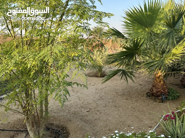 1 Bedroom Farms for Sale in Abu Dhabi Al Dhafrah