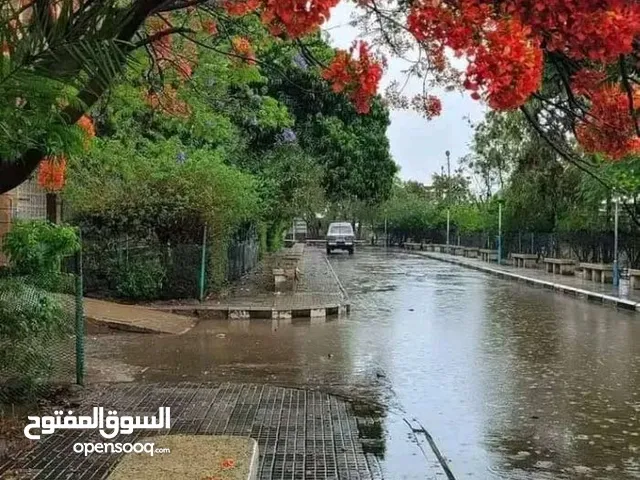 Commercial Land for Rent in Tripoli Al-Sabaa