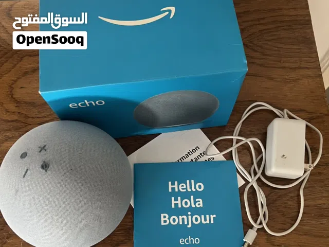 Used Alexa Dot Echo (4th generation)