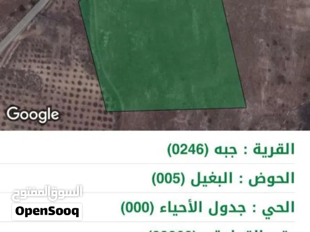 Farm Land for Sale in Jerash Other
