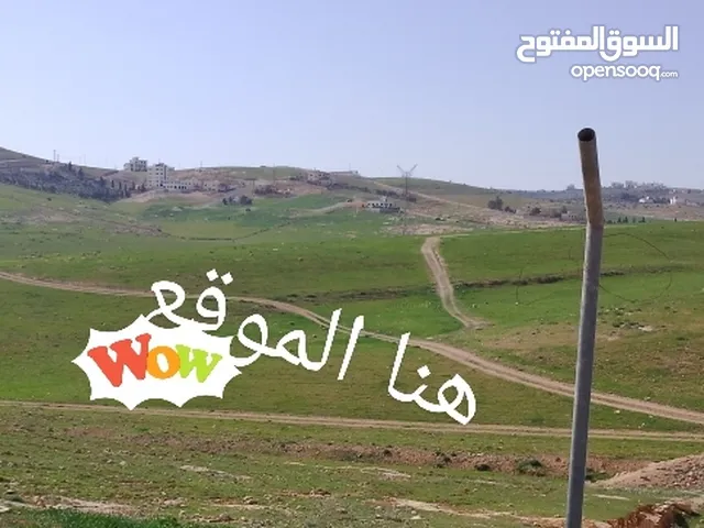 Residential Land for Sale in Amman Zinat Al-Rubue