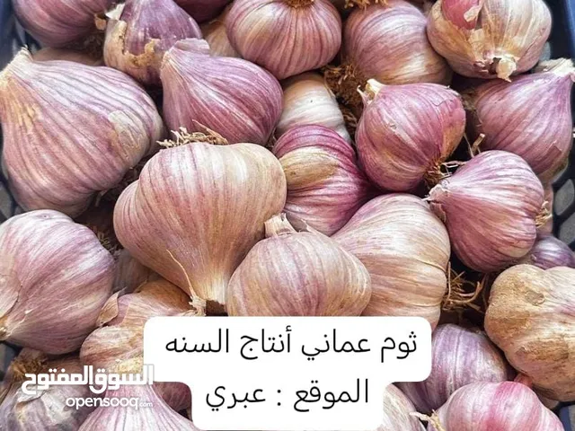 ثوم عماني جوده ممتازه