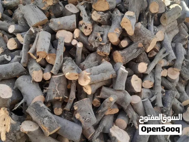 قص  حطب تقليم شجر