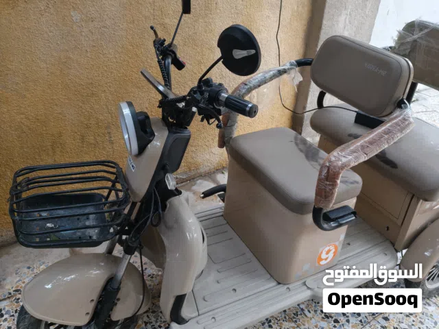 دراجة شحن ثلاث تايرات ذات 5 بطاريات