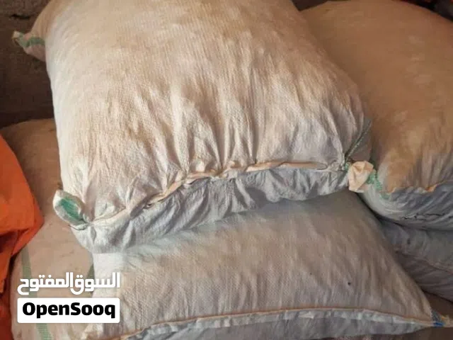 تمر نفيعه للبيع
