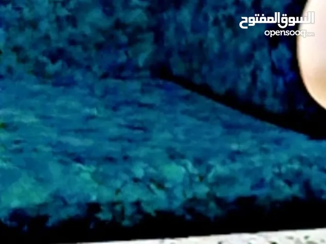 طقم مد عربي / مجلس عربي